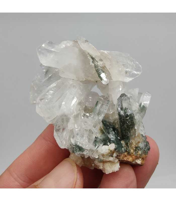 Quartz chlorité, Le Plan du Lac, Isére (38)