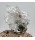 Quartz chlorité, Le Plan du Lac, Isére (38)