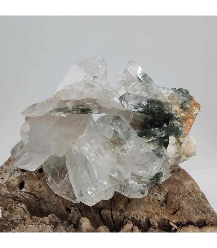 Quartz chlorité, Le Plan du Lac, Isére (38)