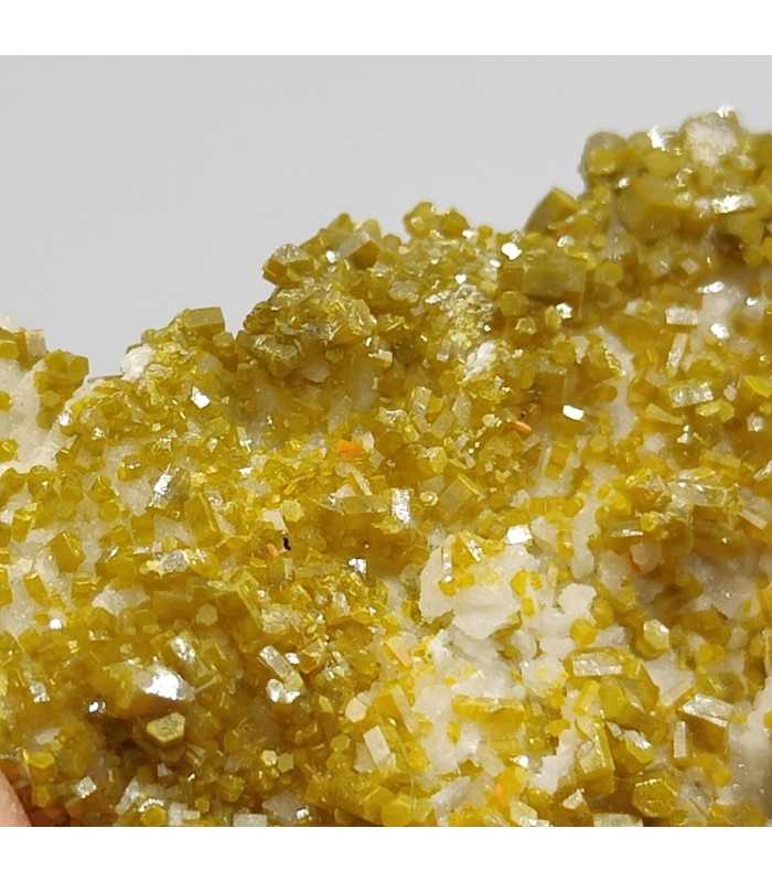 Pyromorphite, mine des Farges, Corrèze (19)