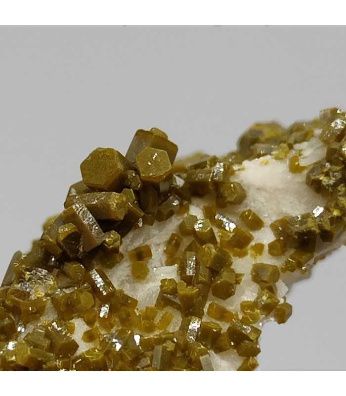 Pyromorphite, mine des Farges, Corrèze (19)