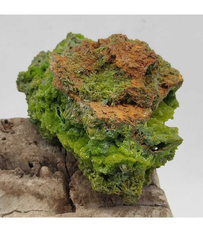 Pyromorphite, Saint Salvy, Tarn (81)