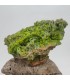 Pyromorphite, Saint Salvy, Tarn (81)