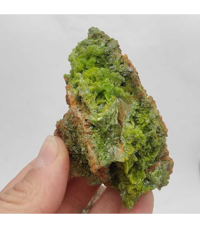 Pyromorphite, Saint Salvy, Tarn (81)