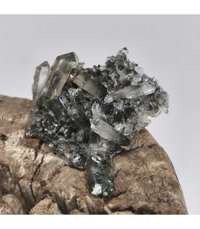 Quartz chlorité , Le Clot, Isère (38)