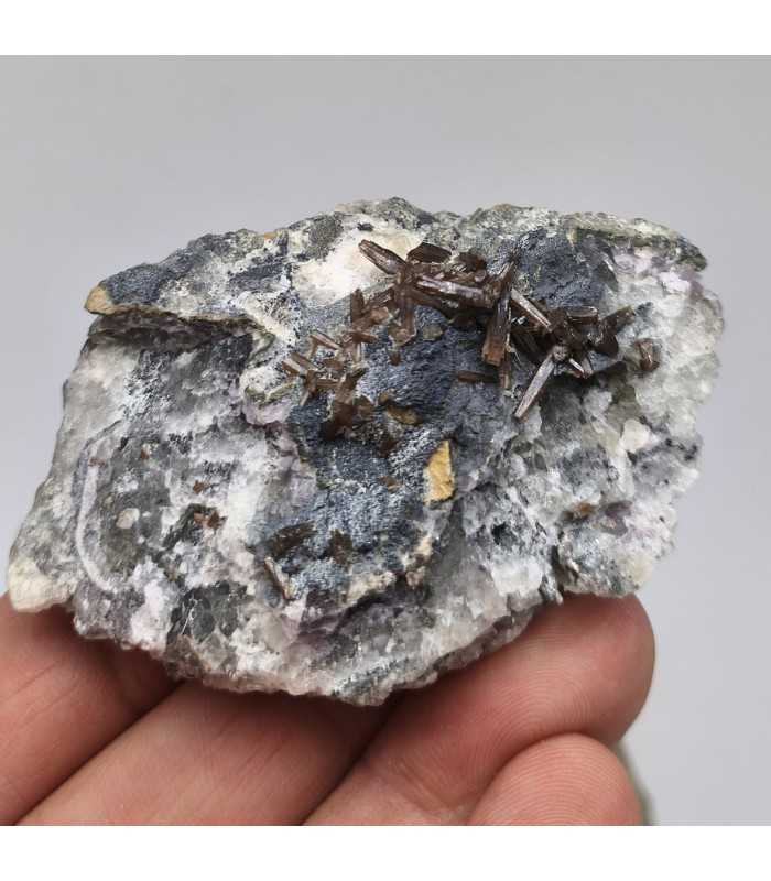 Pyromorphite sur fluorite, Chaillac , Indre (36)