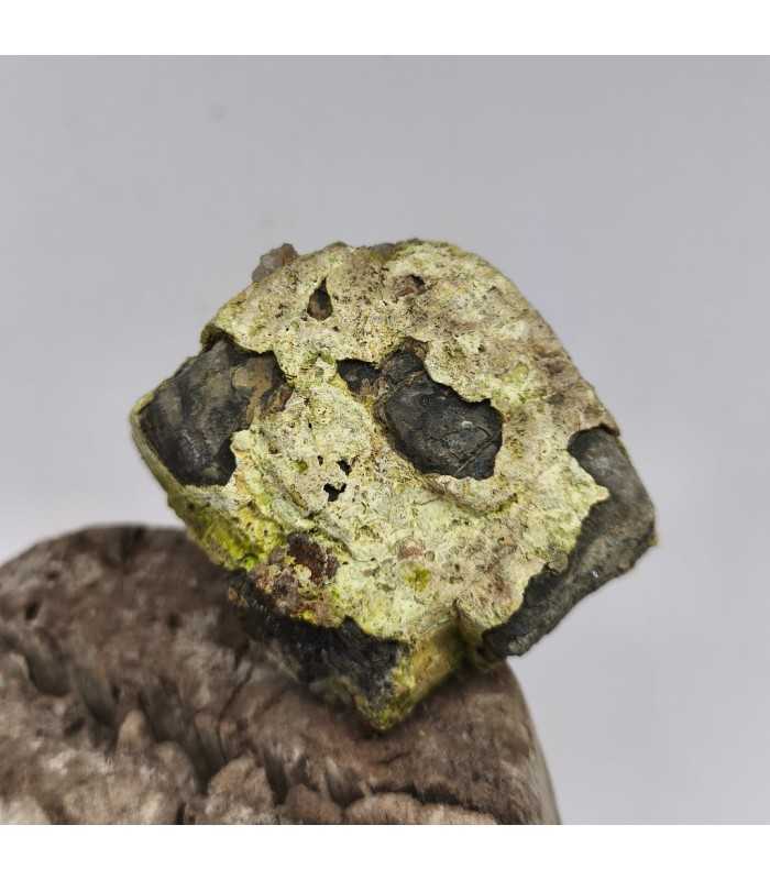 Pyromorphite sur galène, L'Argentolle, Saône et Loire (71)