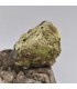 Pyromorphite sur galène, L'Argentolle, Saône et Loire (71)