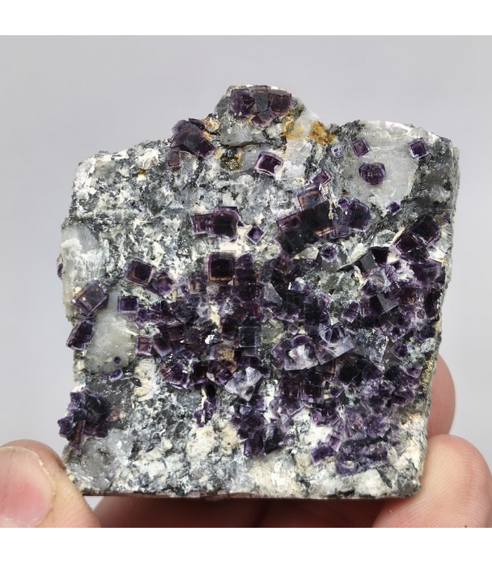 Fluorite, Saint-Peray, Ardêche (07)