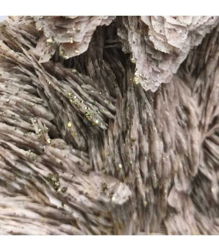 Pyrite sur Baryte, Saint-Peray, Ardêche (07)