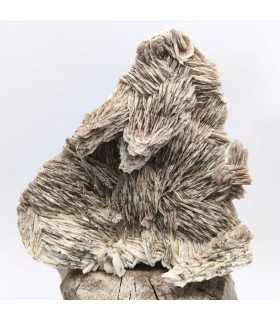 Pyrite sur Baryte, Saint-Peray, Ardêche (07)