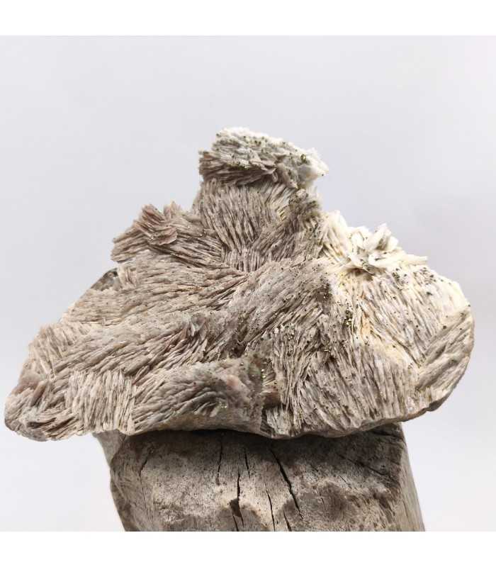 Pyrite sur Baryte, Saint-Peray, Ardêche (07)