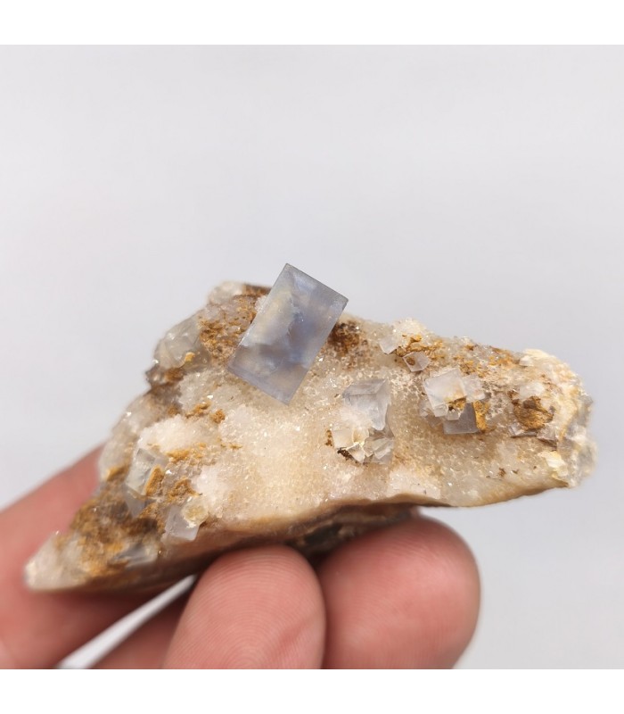 Fluorite, La Barre, Puy de Dôme (63)