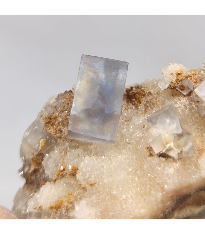 Fluorite, La Barre, Puy de Dôme (63)