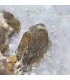 Fluorite et baryte, Pratclaux (Haute-Loire)