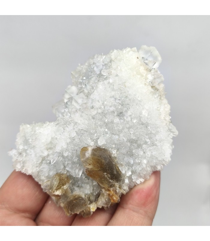 Fluorite et baryte, Pratclaux (Haute-Loire)