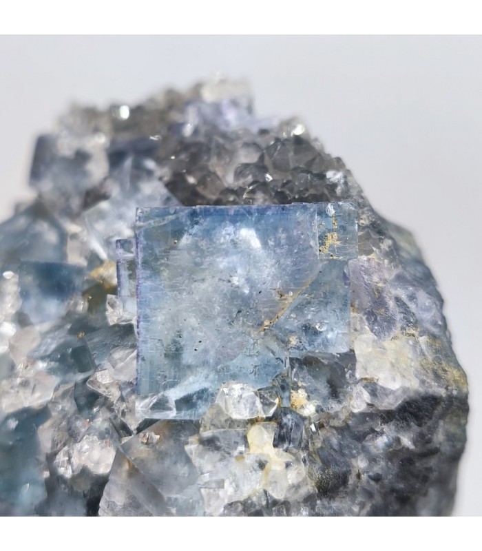 Fluorite, Le Burc, Tarn (81)