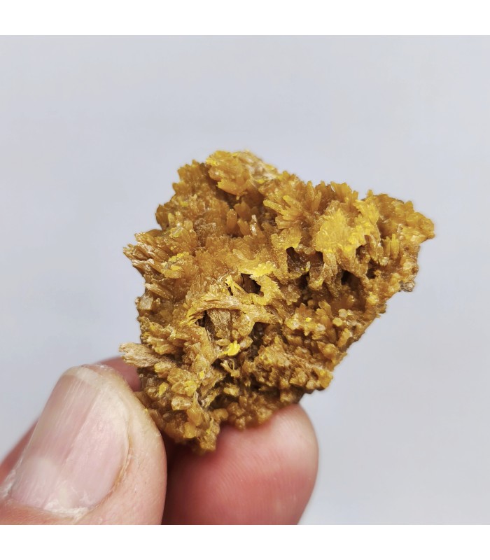 Pyromorphite, Molimard, Haute-Loire (43)