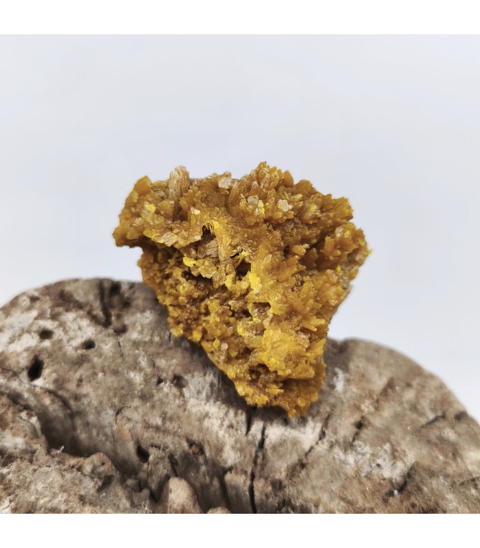 Pyromorphite, Molimard, Haute-Loire (43)