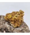 Pyromorphite, Molimard, Haute-Loire (43)