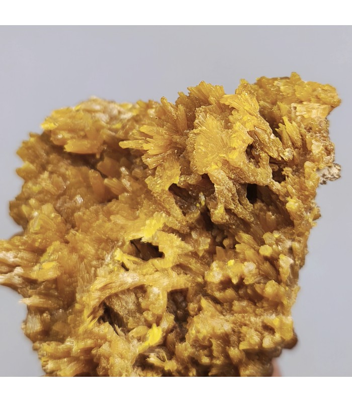 Pyromorphite, Molimard, Haute-Loire (43)