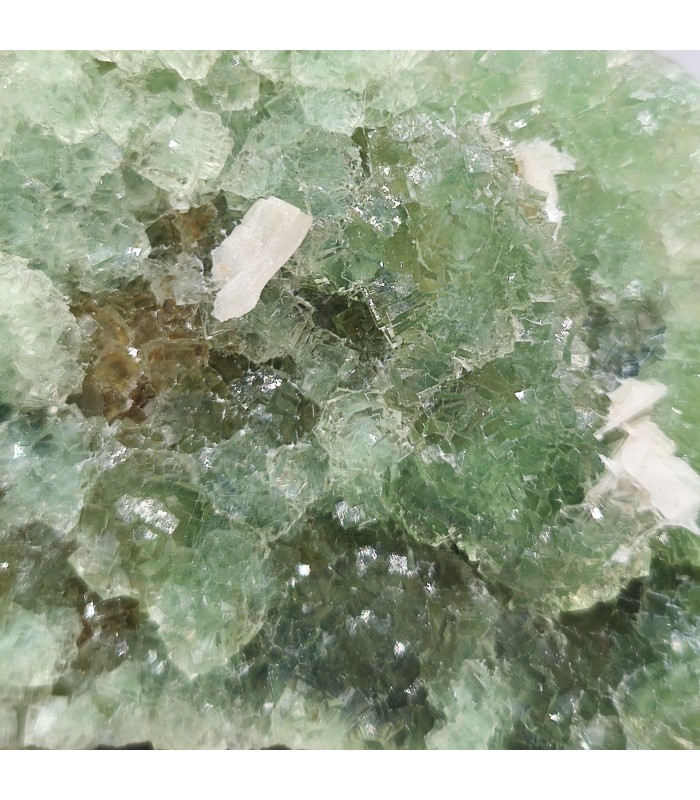 Fluorite et Baryte, Fontsante, Var (83)