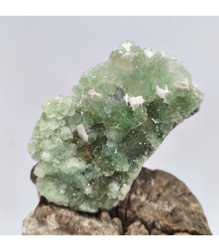 Fluorite et Baryte, Fontsante, Var (83)