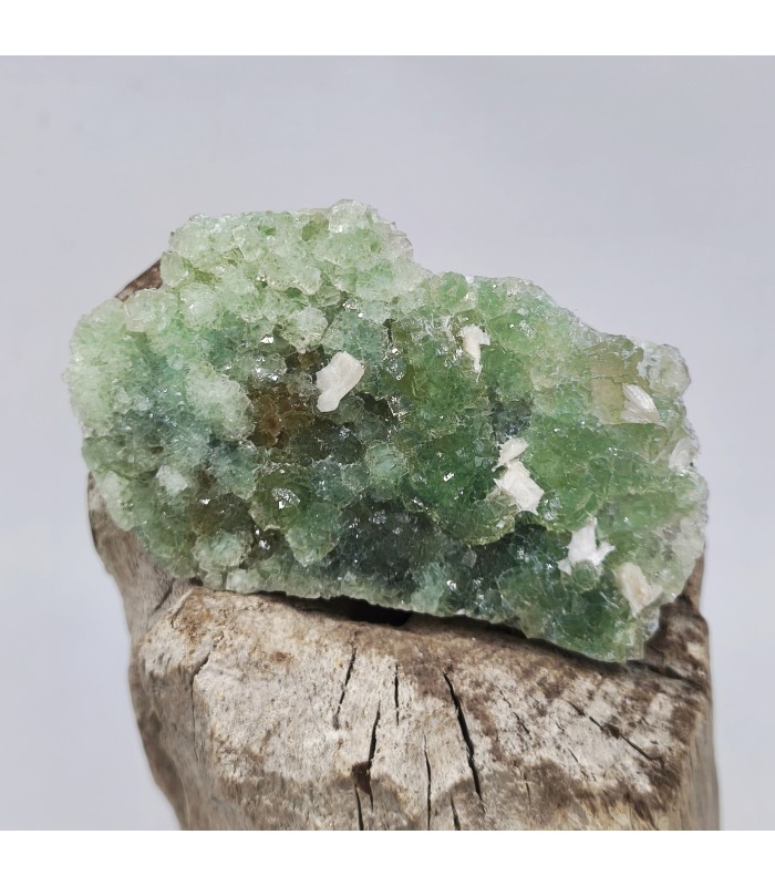 Fluorite et Baryte, Fontsante, Var (83)