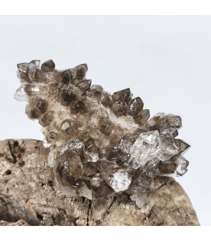 Quartz chlorité, Plan du lac ,Isère (38)