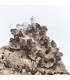 Quartz chlorité, Plan du lac ,Isère (38)