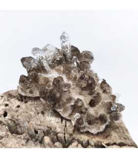 Quartz chlorité, Plan du lac ,Isère (38)