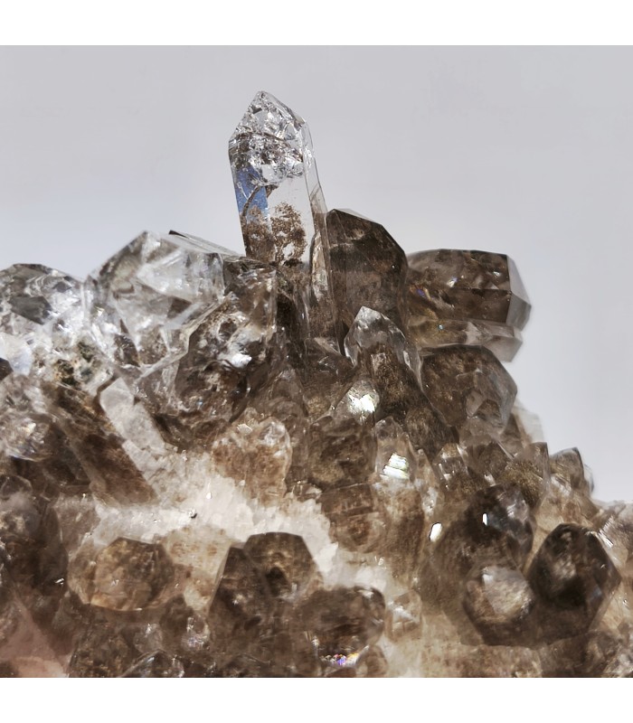 Quartz chlorité, Plan du lac ,Isère (38)