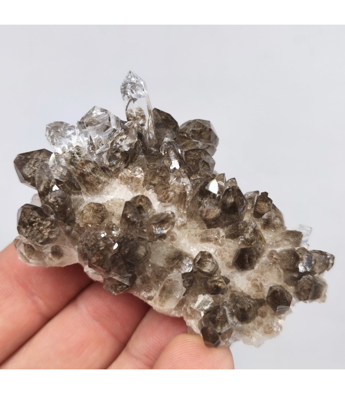 Quartz chlorité, Plan du lac ,Isère (38)