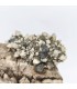 Fluorite et Quartz, La Peyratte , Deux Sevres (79)