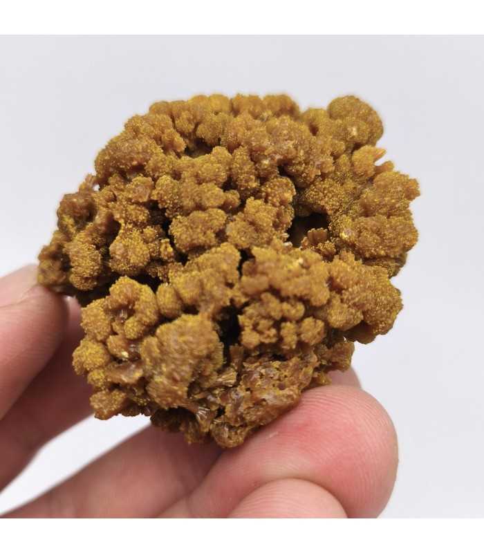 Pyromorphite, Les Farges, Corrèze (19)