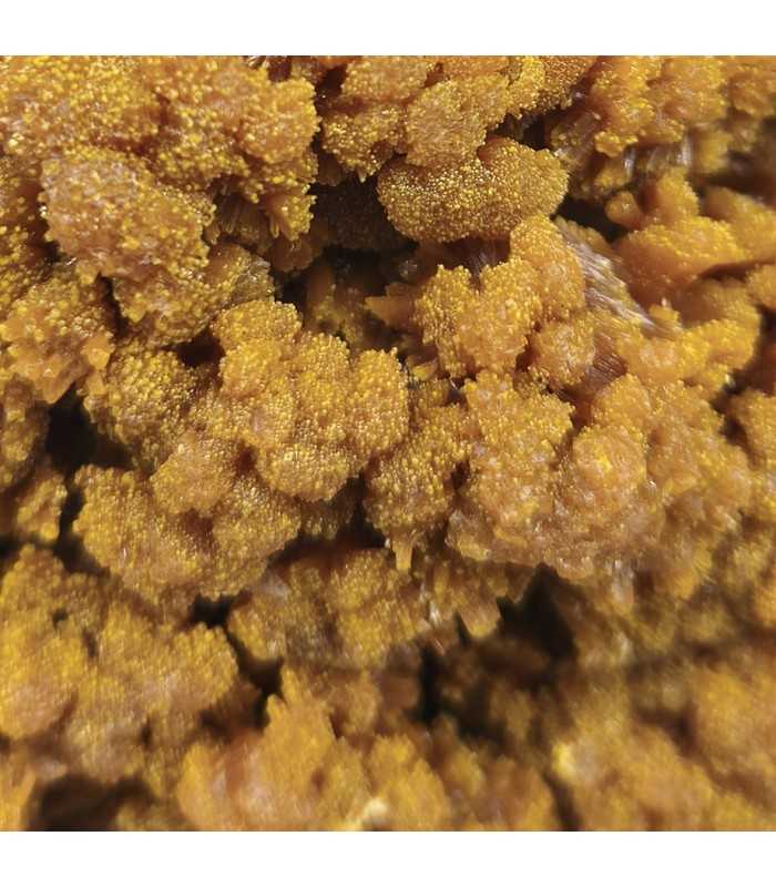 Pyromorphite, Les Farges, Corrèze (19)