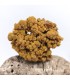 Pyromorphite, Les Farges, Corrèze (19)