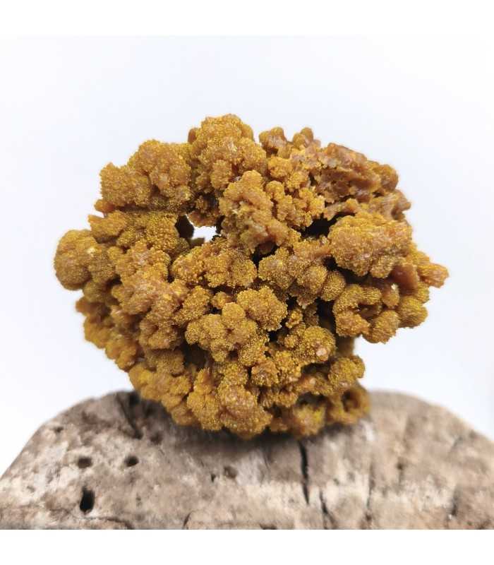 Pyromorphite, Les Farges, Corrèze (19)