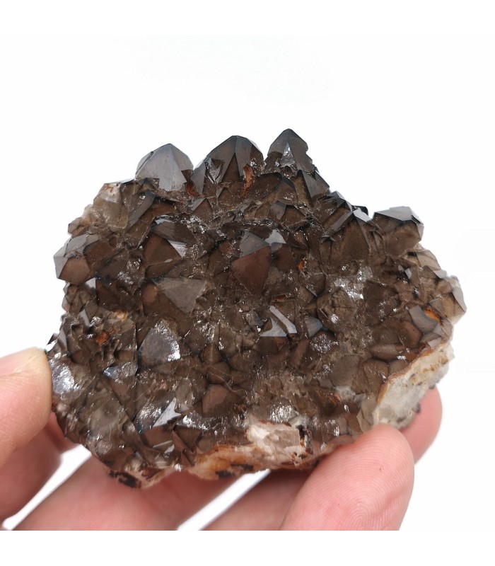 Quartz fumé, Echassières, Allier (03)