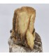 Baryte et Pyromorphite, Molimard, Haute Loire (43)