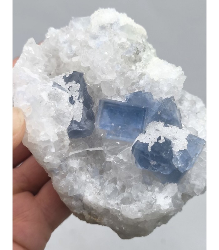 Fluorite, Le Burc, Tarn (81)
