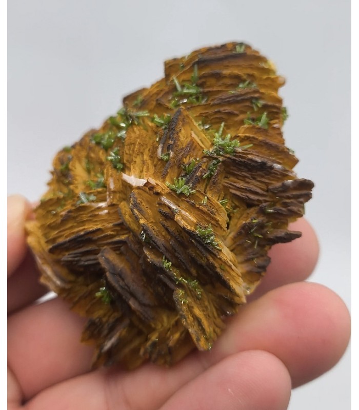 Pyromorphite, Chaillac, Indre (36)