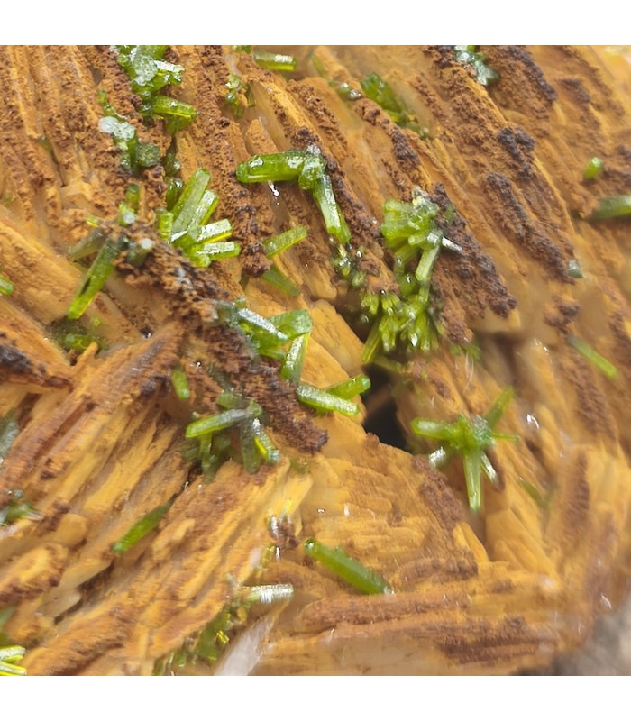 Pyromorphite, Chaillac, Indre (36)