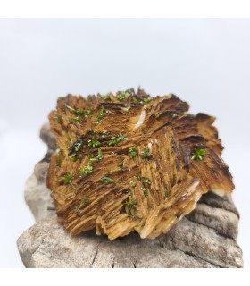Pyromorphite, Chaillac, Indre (36)