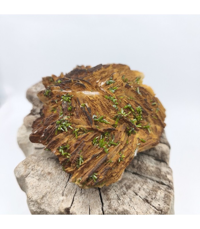 Pyromorphite, Chaillac, Indre (36)
