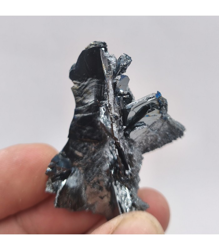 Hématite, Puy de Tunisset, Puy de Dôme(63)