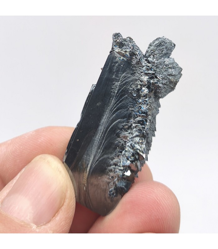 Hématite, Puy de Tunisset, Puy de Dôme (63)