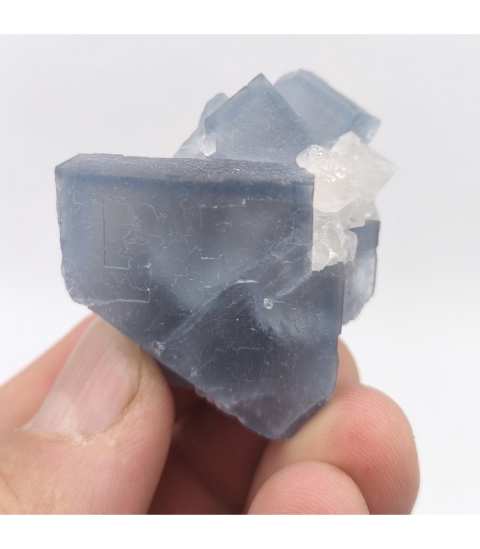 Fluorite, Margou, Tarn (81)