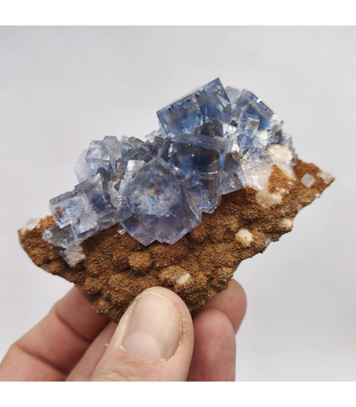 Fluorite, La Barre, Puy de Dôme (63)