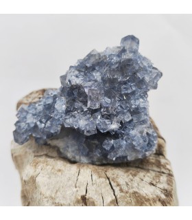 Fluorite, Le Burc, Tarn (81)